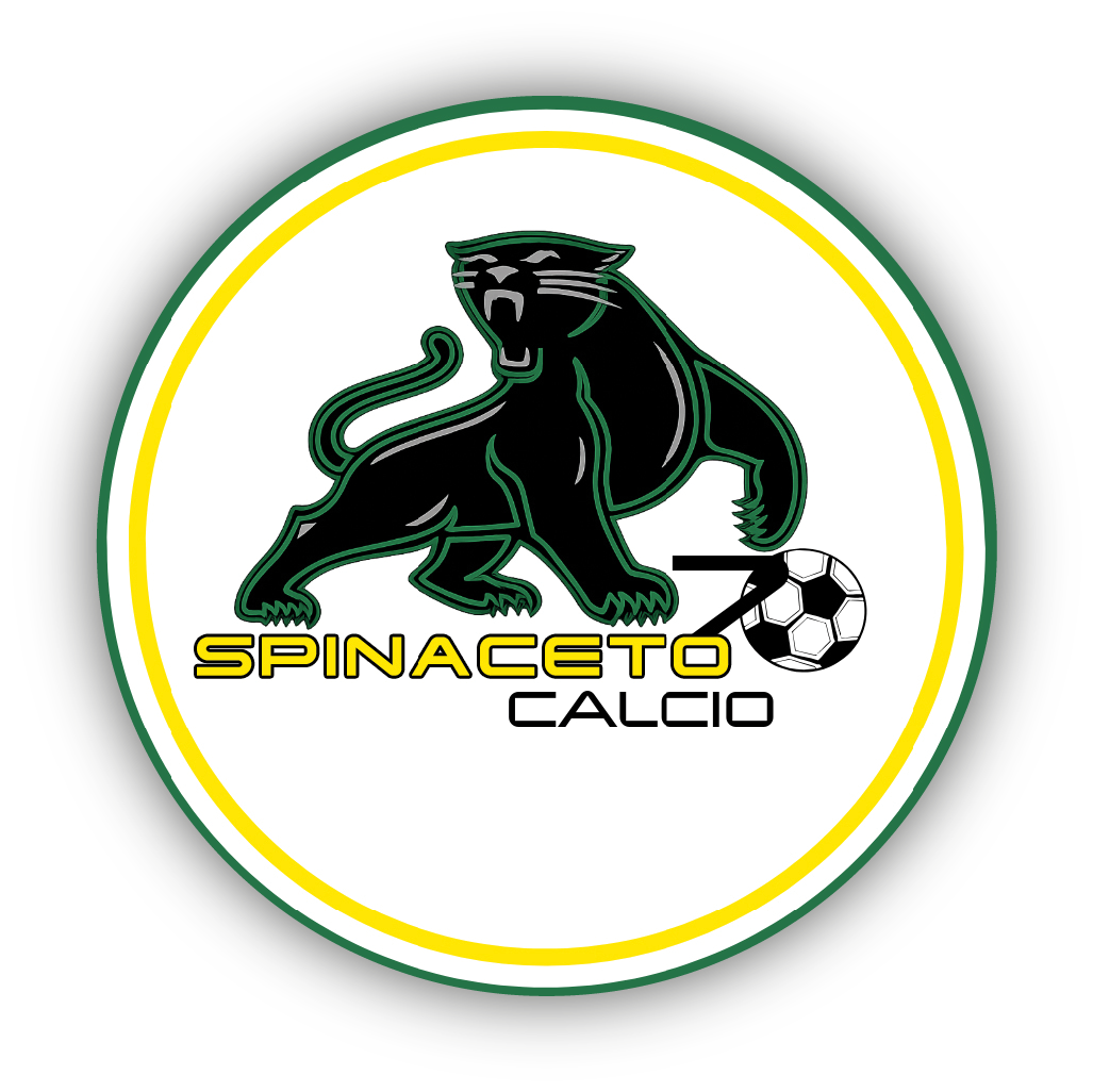Spinaceto 70 Calcio
